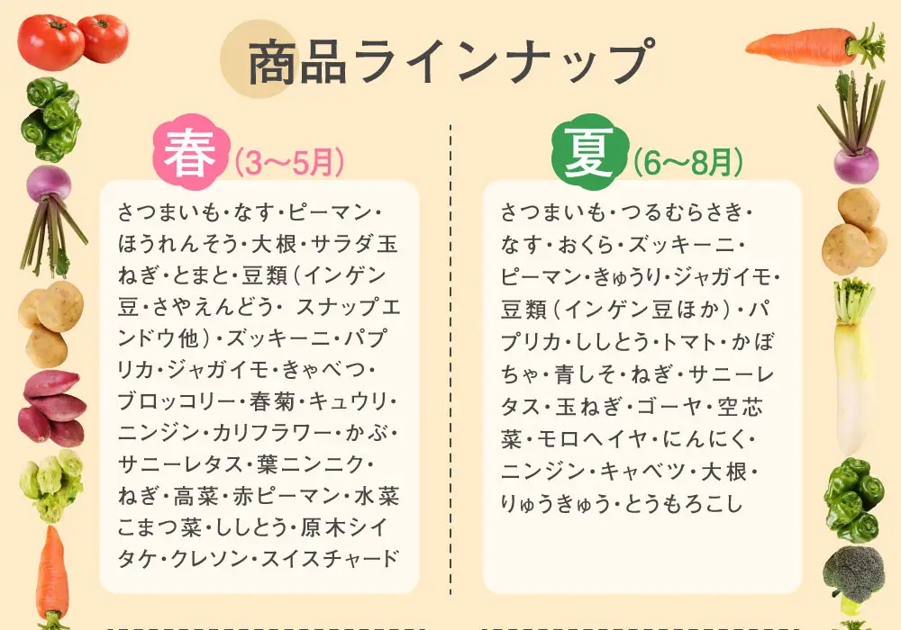 【4回お届け定期便】春夏秋冬 野菜 定期便 rk015