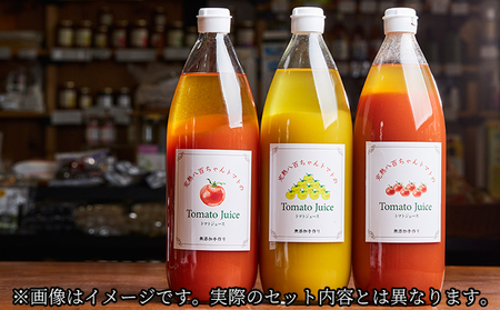 みつヴィレッジのオススメ加工品セット（10種） パスタソース 果汁飲料 野菜飲料 トマトジュース ジャム 