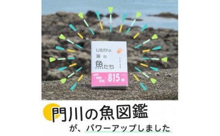 新・門川の魚図鑑(1冊)お魚 知育 学習 本 書籍【AI-3】【門川町地域振興課】