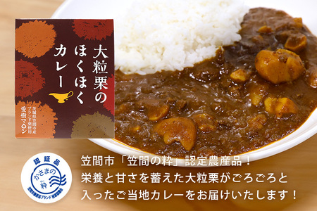 大粒栗のほくほく カレー 3箱 栗 AQ-015