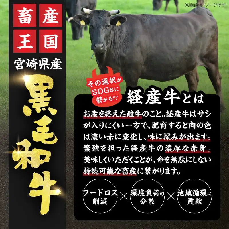 数量限定 黒毛和牛 ロースステーキ 計800g_DC26-25