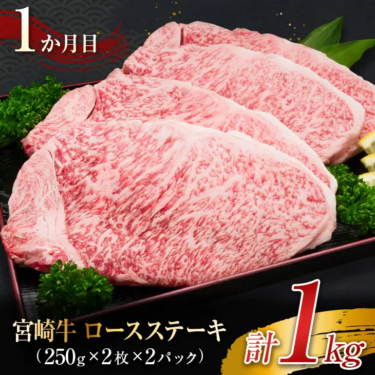 3か月 お楽しみ 定期便 宮崎牛 堪能 セット 合計3kg_L9-25
