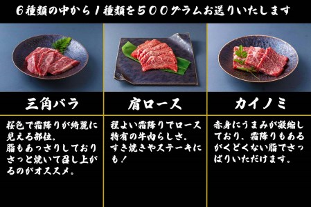 北海道産 黒毛和牛 こぶ黒 A5 焼肉 希少部位 500g (1種類)