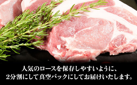 う～んまいから！くっちみ～ 茨城県産 豚ロース 約3.8kg ～ 5kg 前後 ブロック ２分割でお届け 協同農産 《90日以内に出荷予定(土日祝除く)》 肉 豚肉 ポーク 国産 ローストポークロースハム 角煮 茨城県 結城市【配送不可地域あり】(北海道・沖縄・離島)