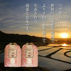 【在庫限り】令和7年産米 食味値80点以上/国東産「つや姫」10kg（5kg×2袋 ）_1673R-2