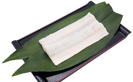 大分県産活じめ鱧（はも）1本物 骨切り切身 たっぷり 1000g ＜108-006＞