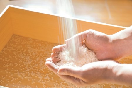 823　〈伊勢のくに　匠の一座〉匠の穂　お伊勢さんのお米詰め合せ（2.7kg）　縁起米 イセヒカリ ギフト 契約栽培