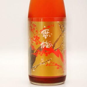 日本酒 仕込 梅酒 恋梅720ml 純米大吟醸 酒粕 焼酎 720ml 2本 セット 酒粕焼酎 国産梅 月の井 大洗 地酒 茨城_AW045