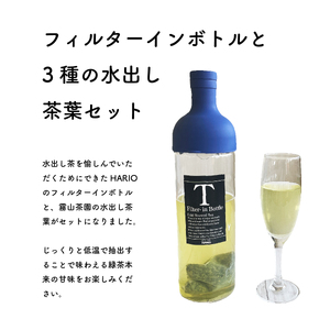 水出し緑茶 セット｜土佐霧山茶 ティーバッグ 3種＋ハリオ フィルターインボトル付き 水出し茶 番茶 煎茶 ほうじ茶