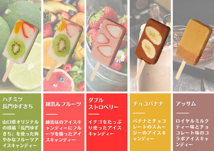アイスバー アイスキャンディー パティシエが作るアイスバー 10本セット 人気 詰め合せ (1152)