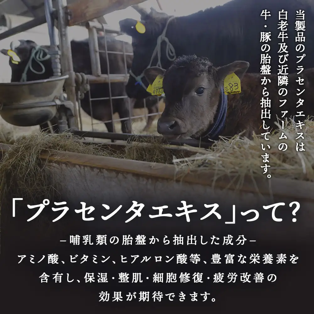 【定期便・全6回】北海道白老産 生プラセンタ美容液 ～アヨロのピリカ～ AN006