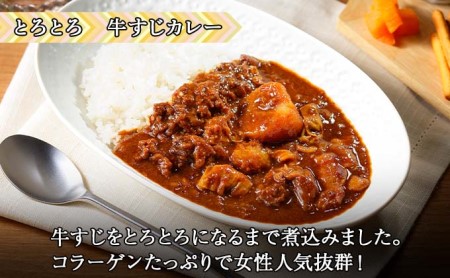 倶知安 牛すじカレー 北海道 計10個 中辛 レトルト食品 加工品 牛すじ 牛肉 野菜 じゃがいも お取り寄せ グルメ スパイシー スパイス【お肉・牛肉・加工食品】 