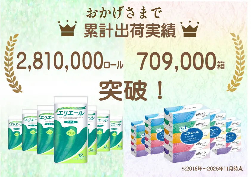 エリエール 収納に便利 コンパクト 〈アソート〉 トイレットペーパー ティッシュ トイレ ボックスティッシュ ティッシュ まとめ買い ペーパー ひとり暮らし 紙 防災 常備品 備蓄品 消耗品 定番 北海道 赤平市 