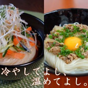 稲庭うどん 業務用１kg×10袋【(有)稲庭絹女うどん】[D0201]