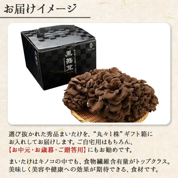 新潟県 南魚沼産 厳選 国産 黒 高級 舞茸 産地直送 700g