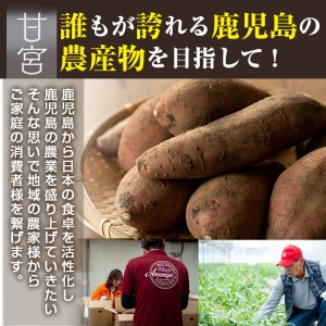 【13843】《数量限定》鹿児島県産紅はるか使用！さつまいもチップス詰め合わせ計490g(70g×7袋)【甘宮】