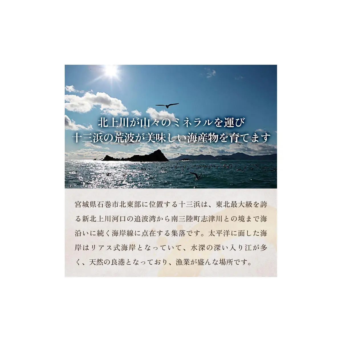 十三浜　浜だより（わかめ・こんぶ・海藻6種7品）