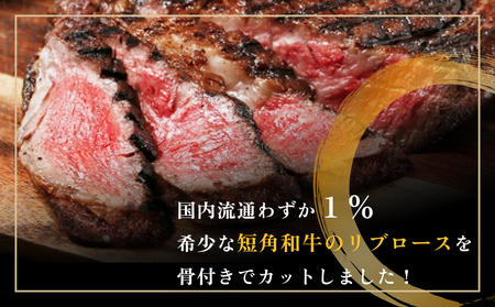 トマホーク ステーキ 700g (350g × 2枚 ) 骨付きステーキ ステーキ 赤身 冷凍  短角 和牛 宮城県 石巻 石巻市 うしちゃんファーム ステーキ ステーキ ステーキ ステーキ ステーキ ステーキ