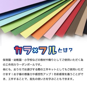 カラーダンボール【カラ × フル】12色セット 750サイズ【0063-001】工作 図工教材 工作キット 飾りつけ 学芸会 岐阜県 可児市