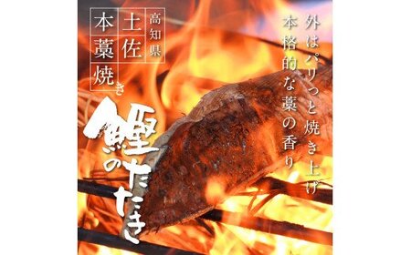 芸西村厳選1本釣り本わら焼き「田野屋銀象シリーズ　極カツオのたたき（6～7人前）完全天日塩付（田野屋銀象ソルト）」