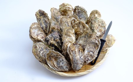 6ヶ月 定期便 厚岸産 殻付き 牡蠣 Ｌサイズ 20個入 (各回20個×6ヶ月分,合計120個) カキナイフ付き 加熱容器付き 魚貝類 生牡蠣 かき 殻付き牡蠣 マルえもん 6カ月 6回 半年 