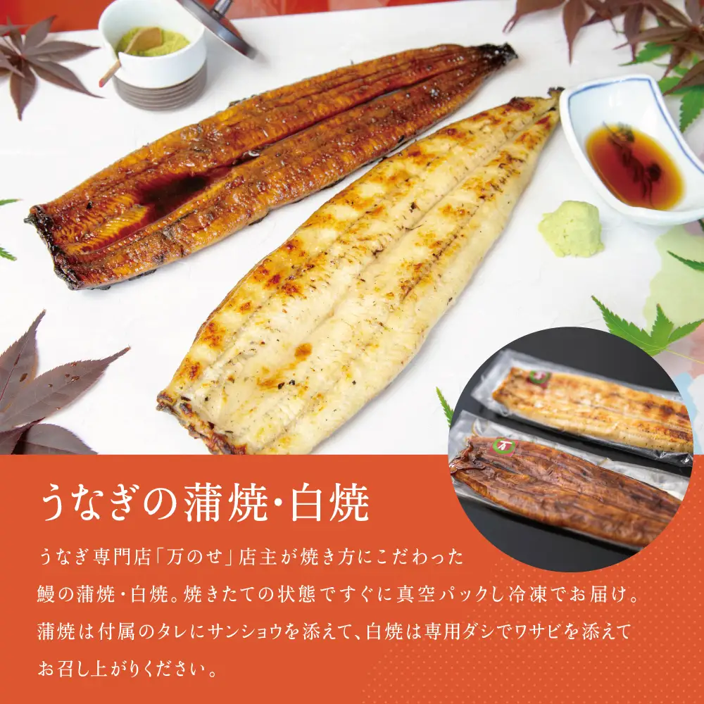 【鹿児島県産】うなぎの「万のせ」鰻満喫セット（4種） 詰め合わせ ギフト 贈答品 国産 鹿児島うなぎ 鰻 蒲焼き ウナギ うなぎ蒸しおむすび 土用の丑 丑の日