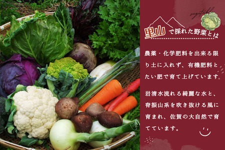 年間定期便48回 里山で採れた野菜セットショート 8品 (H078104)