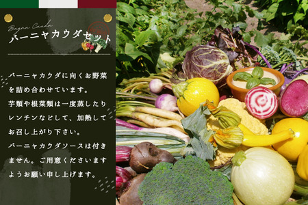 バーニャカウダ野菜セットレギュラー 12品 (H078117)