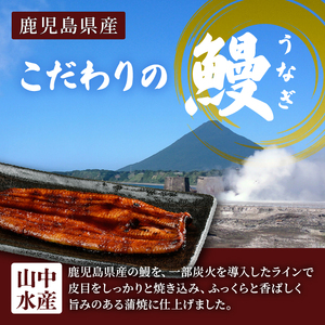 【鹿児島県産】鰻 の 蒲焼 無頭背開き 約165g×2尾 山中水産 IB022-001 うなぎ