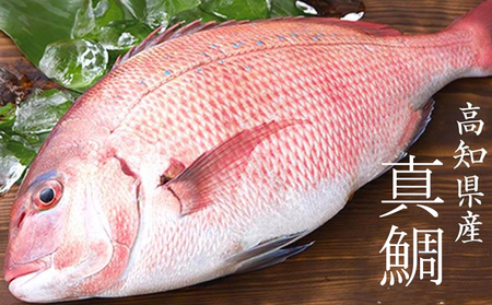 【 漬け丼 】 漬け丼鯛