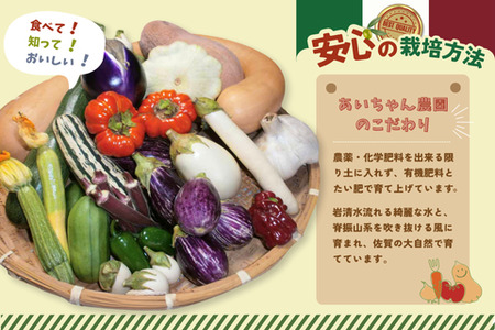年間定期便12回 イタリア野菜セットショート 7品 (H078146)