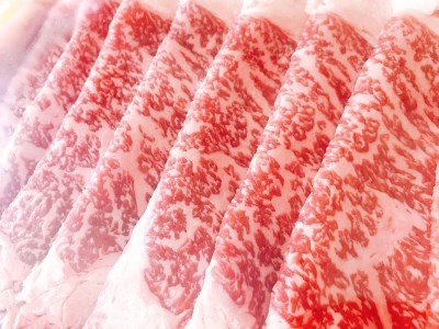 牛肉 黒毛和牛 宮崎産 リブロース スライス 500g [ウィズ・クリエイティブ 宮崎県 日向市 452060800]
