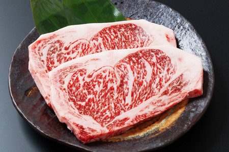 和牛 黒毛和牛 宮崎産 サーロイン ステーキ 250g 2枚 計500g [452061463] 和牛