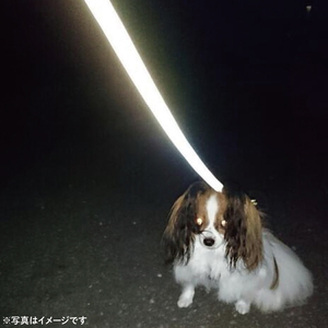 『虹ストライプ柄』オリジナル反射材の光る犬用リード【小型犬10kg用】【散歩 愛犬 夜散歩 阿見町 茨城県】(40-03)