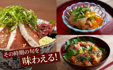 【6ヶ月 定期便】 初音自家製　室戸の海鮮漬け丼(旬魚)170g おかずに海鮮丼に茶漬けに