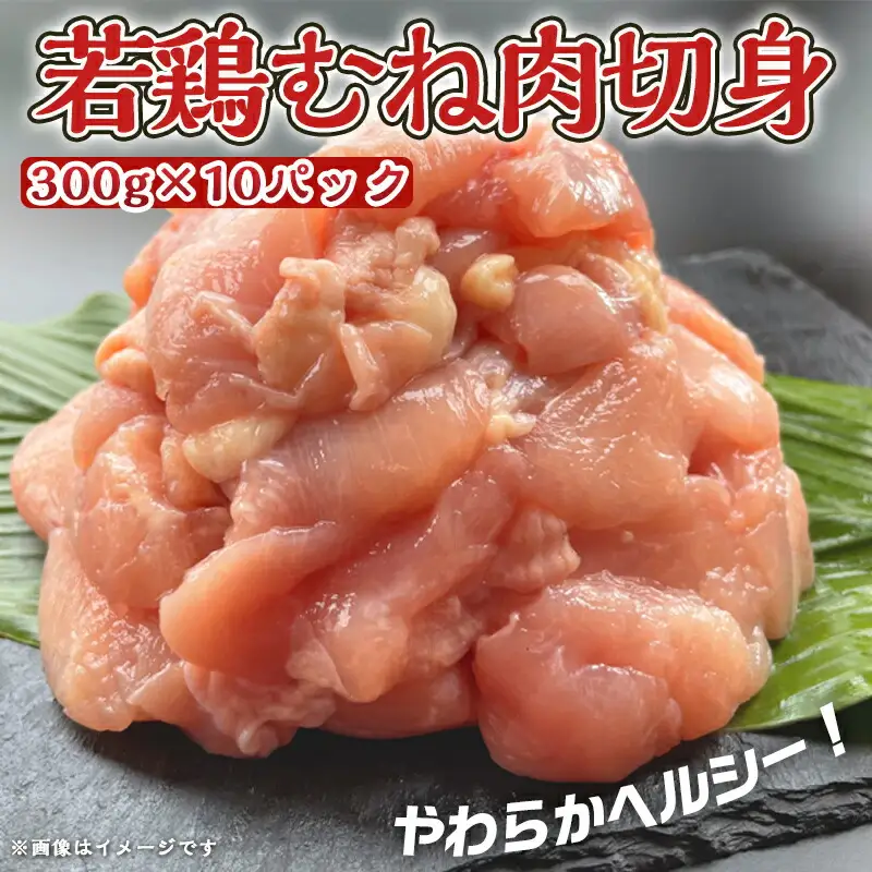 宮崎県産若鶏むね肉切身3kg_AA-9228_(都城市) 宮崎県産鶏 むね肉切身 300g×10パック 若鶏むね肉 やわらかくヘルシー カット済