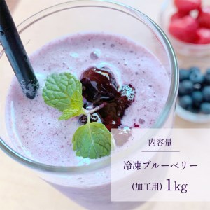 冷凍ブルーベリー (加工用)
