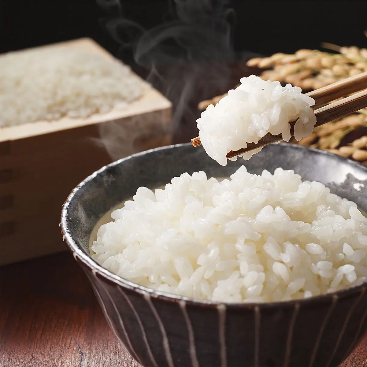 【定期便6回】山形産 はえぬき 5kg×6ヶ月(計30kg) FZ24-473