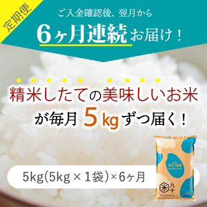 青天の霹靂　5kg 定期便6ヶ月 令和7年産米 精米 特A 晴天の霹靂 PEBORA