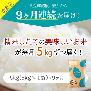 青天の霹靂　5kg【定期便9ヶ月】令和7年産米_精米_青森県産【特A_8年連続取得】晴天の霹靂_五所川原市_PEBORA