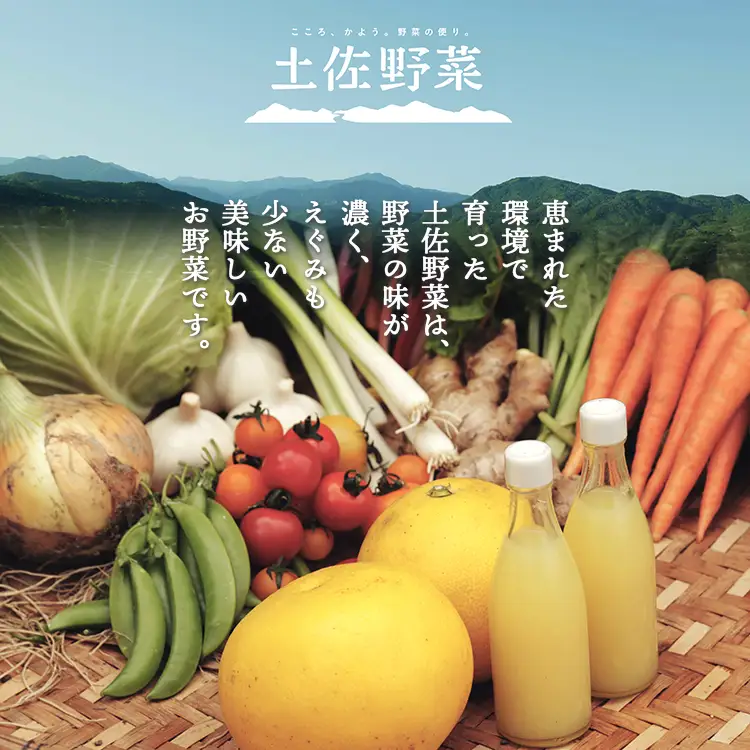 野菜 定期便【全12回】（10〜13種） 野菜 セット Wpr-0010