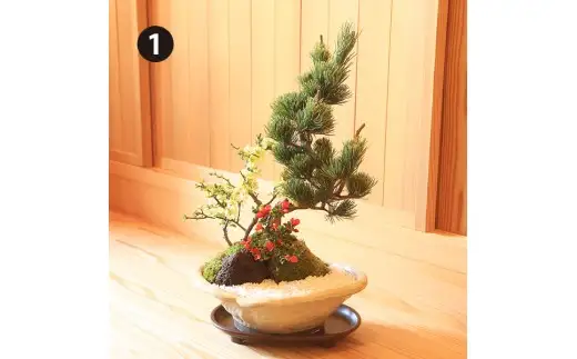 【39-05】 養庄園 季節の寄せ植え盆栽