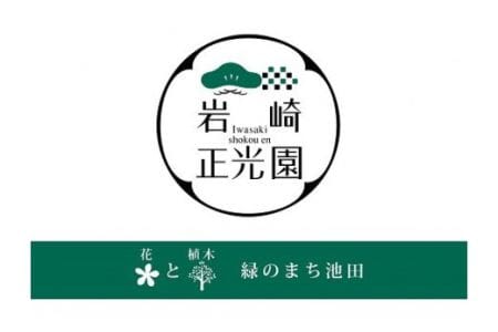 【46-09】 岩崎正光園 ブルーベリーポット苗