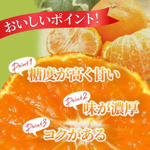 温室さぬき紅みかん約1.2kg