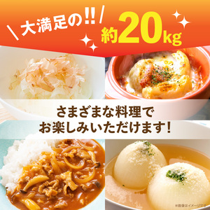 三豊市のたまねぎ 約20kg