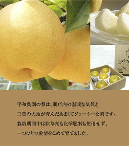 【9月お届け】数量限定!平和農園 豊水梨 大箱＜約4kg＞