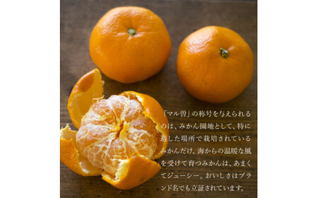 【11/15より発送】三豊市産 極上【マル曽 早生みかん約5kg】S～Mサイズ