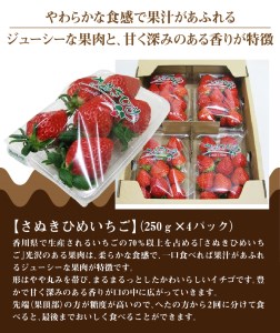 【11月上旬より順次発送】三豊市産 さぬきひめいちご 約1kg
