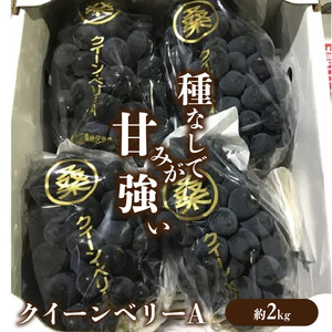 クイーンベリーA 約2kg