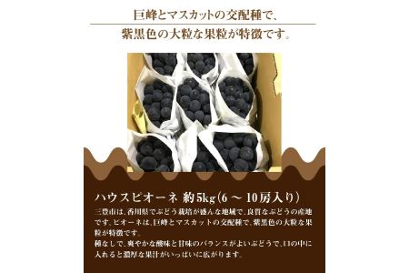 ハウスピオーネ 約5kg
